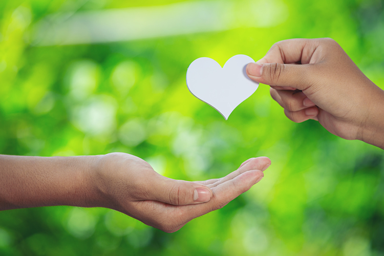 Donate - Dawat-e-Islami KwaZulu-Natal