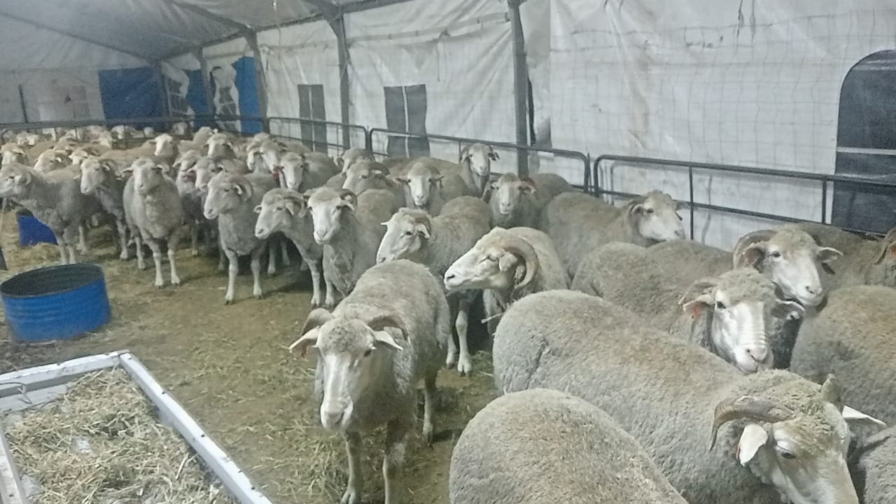 10 - Dawat-e-Islami KwaZulu-Natal